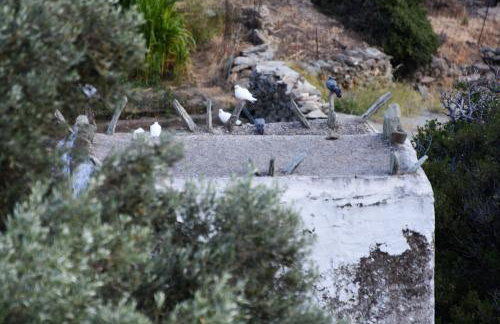 K vineyard house - Foto 17