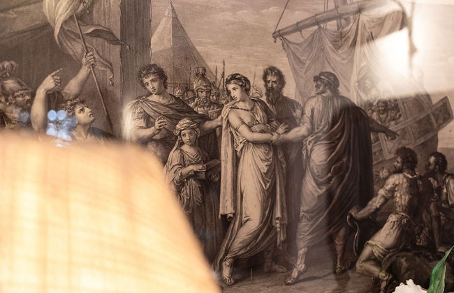 Shepinetree - Capela House - Foto 55