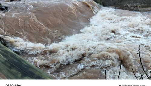 Los Gavilanes BOGARRA - Foto 3