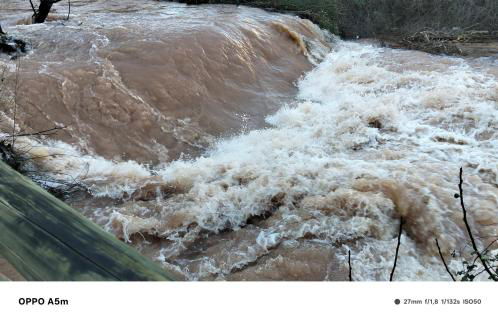 Los Gavilanes BOGARRA - Foto 3