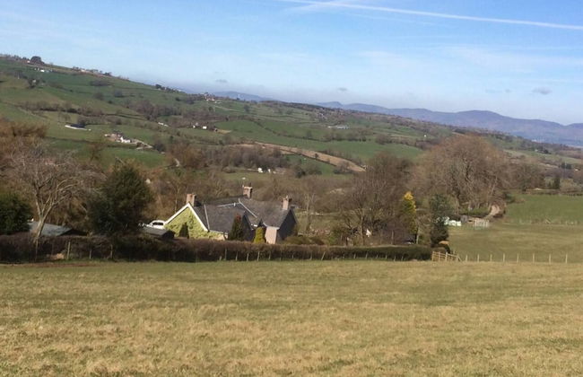 Y Twlc Mochyn - Ecofriendly - Farm Animals - Foto 18