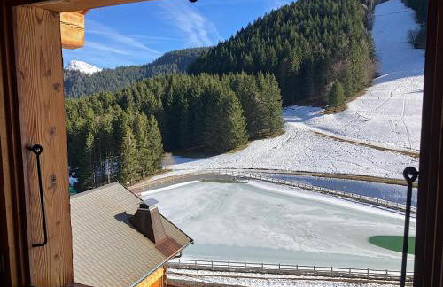 Chalet Carre - Foto 35