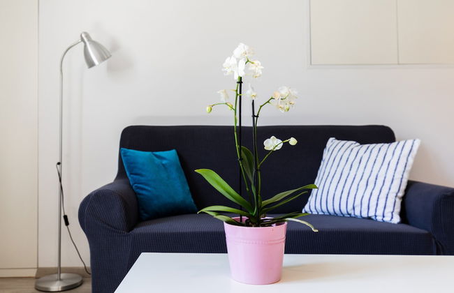 Apartmani Katarina - Frano - Foto 37