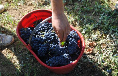 La Rondanina - Photo 20