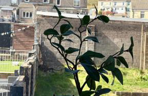 3 bed workers home Welsh Valleys - Foto 11