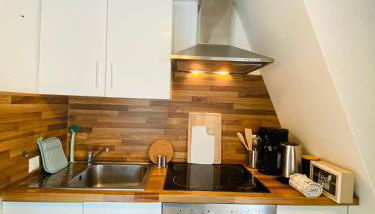 BEECH APARTMENT: MAISONETTE + FREE PARKING + NETFLIX - Foto 4, stove, pet friendly, minibar