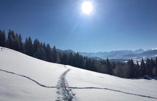 Holiday apartment Alpsee Thirteen - Photo 27