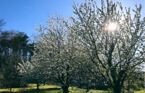 Les gites de Pétrocoriis - Boulazac Périgueux - Foto 95
