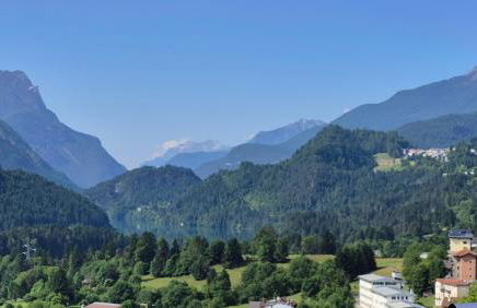 Alps lodge - Photo 10