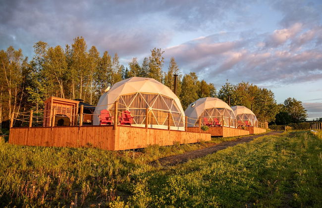 CAMPagne au Clos Sainte-Thècle - Foto 1