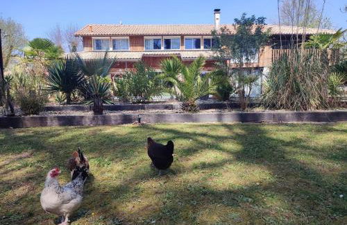 La Grange Océane SPA & Piscine chauffée en saison - Foto 59