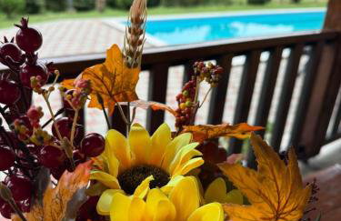 VILA LASOVIC + POOL + JACUZZI + SAUNA - Foto 21