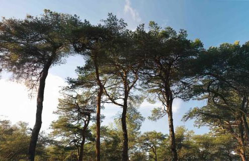 Villa Albertine, 4 chambres en plein cœur de Barbizon proche lisière de Forêt - Foto 52