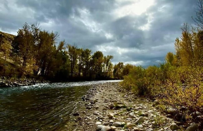 Hannon House - Photo 76