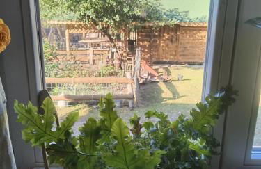 Gospodarstwo agroturystyczne alpaki Pituchówka - Foto 6