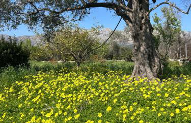 Spacious n comfortable Aloe Vera farm house - Photo 10