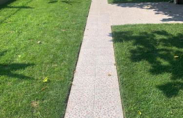 Irdis Garden - Foto 40