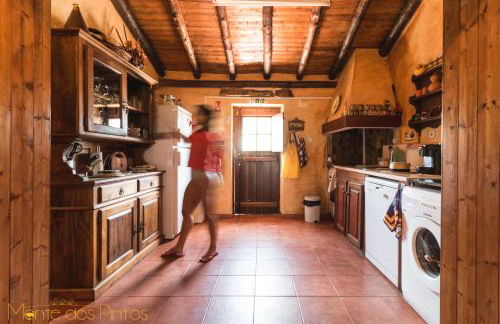 Monte dos Pintos - Foto 23