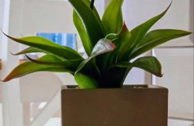 Apartament Przy Promie - Foto 39