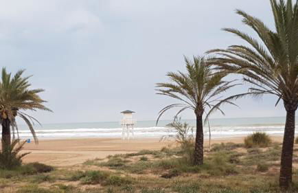 Hola Gandia - Foto 41