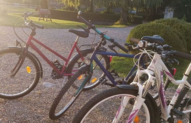 Northern Lights Modern Retreat - Photo 25