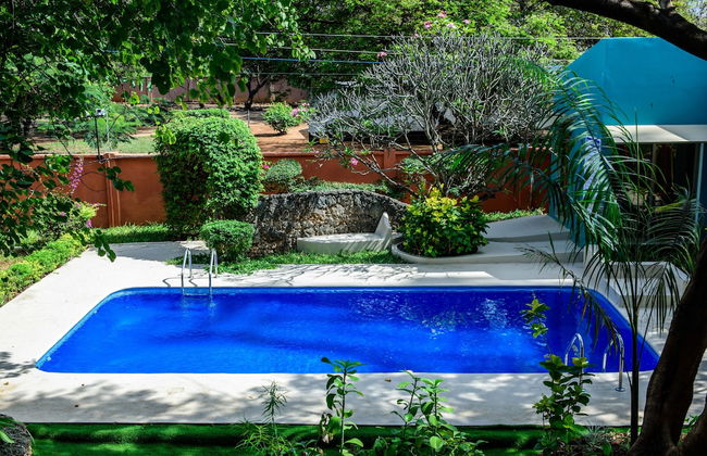 Fig Tree Residences - Foto 17