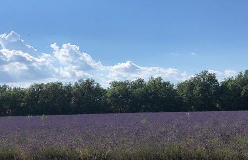 Les Gites du Verdon, côté lac (studio et T2) - Foto 20