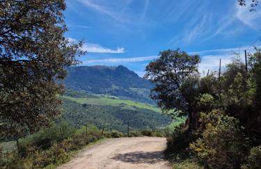 El Pitijopo - Foto 44