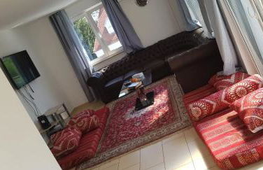 Sahara Falcon - Photo 44