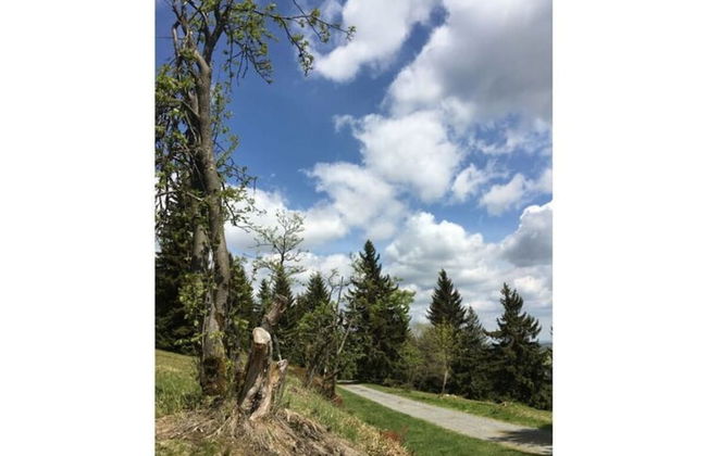 Holiday Home "fuchsbau" - Foto 15