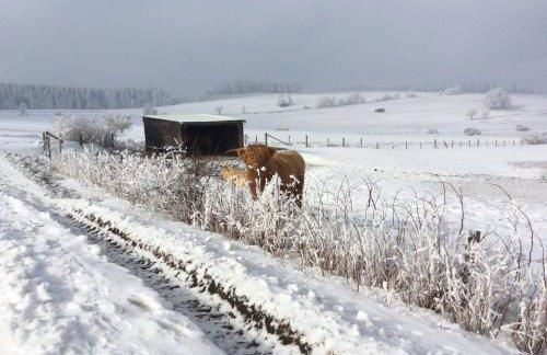 Ferienwohnung Haus Friederike ab 6 Übernachtungen, inclusive Meine Card Plus - Foto 27