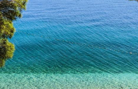 Apartman PINK Živogošće - Photo 14