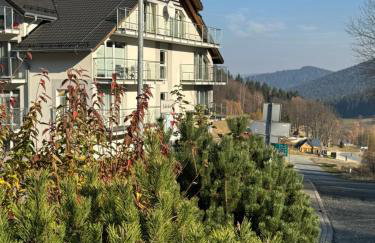 Apartament Buena Vista Czarna Góra Sienna - Foto 5