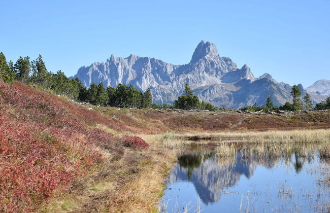 Apartment Bar Comfortable Holiday Residence - Photo 17