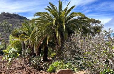 Haciendas del Valle-Montemayor - Foto 77