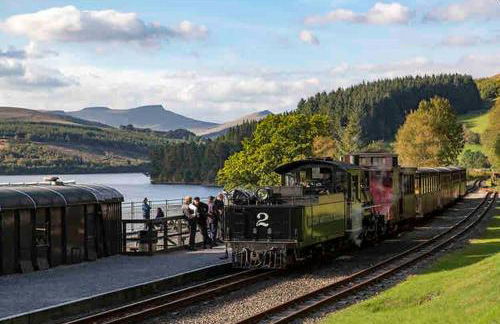 Bee Hive Merthyr Tydfil - Photo 21