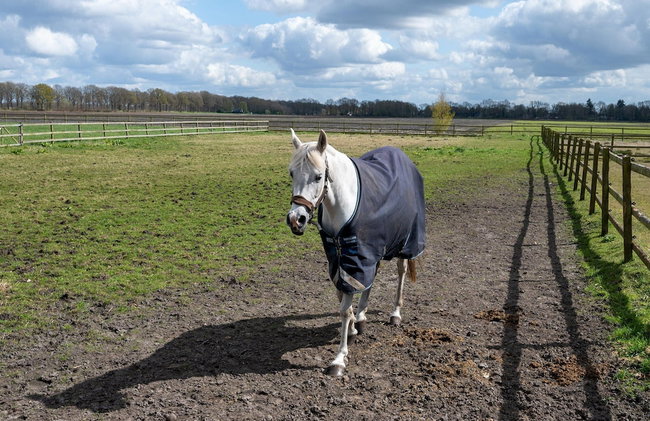 Holiday Home with Meadow View near Forests - Photo 35