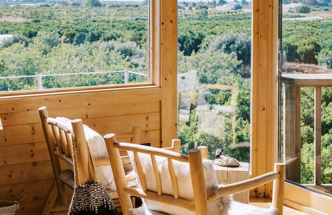 Conversas de Alpendre - Foto 17