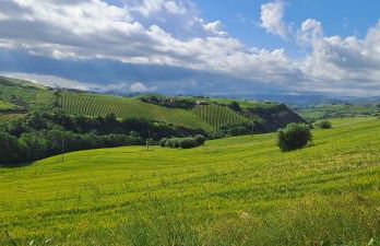 Sweet Home Offida - Foto 42