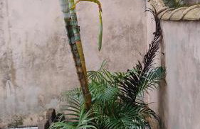 Recanto da Helo - Foto 9