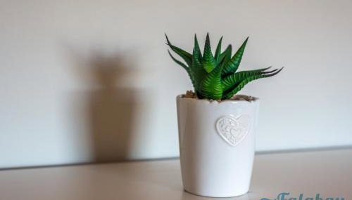 Domki Falabay - Foto 3