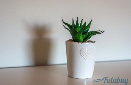 Domki Falabay - Foto 3