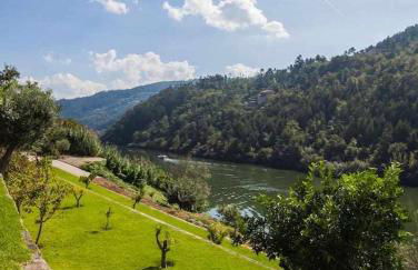 Vila Spa Douro Piscina e acesso privado rio Douro - Foto 18