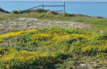 Villino Il melograno - Foto 33