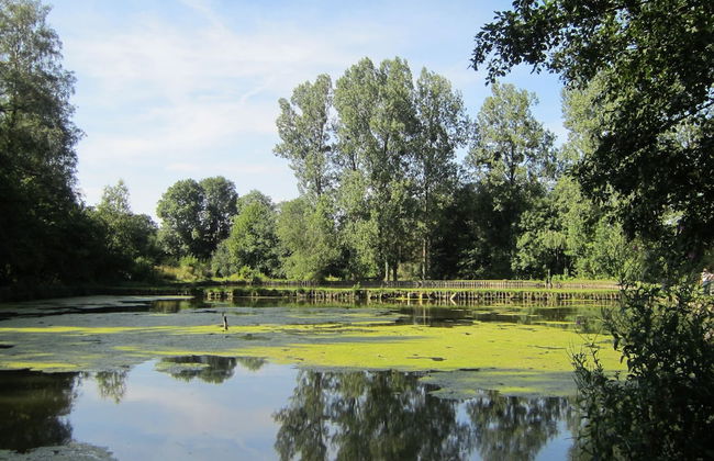 Retreat With Ponds, Braibant - Foto 19