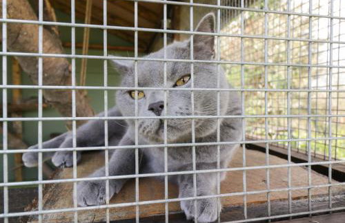 Orchard House Cottage - Foto 23