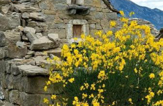 Holiday House near Split with heated pool - Photo 44