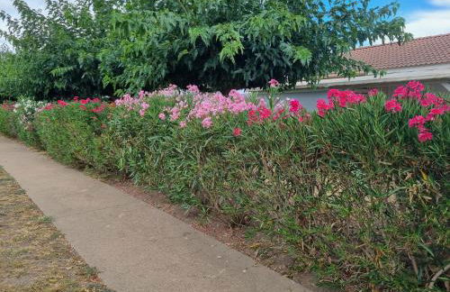 Mini Villa 200 m de la plage - Foto 13