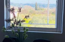 Olympia House Dionisos and Dimitra II - Foto 9