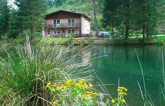 Holiday Accommodation in the Zorn Valley - Foto 22